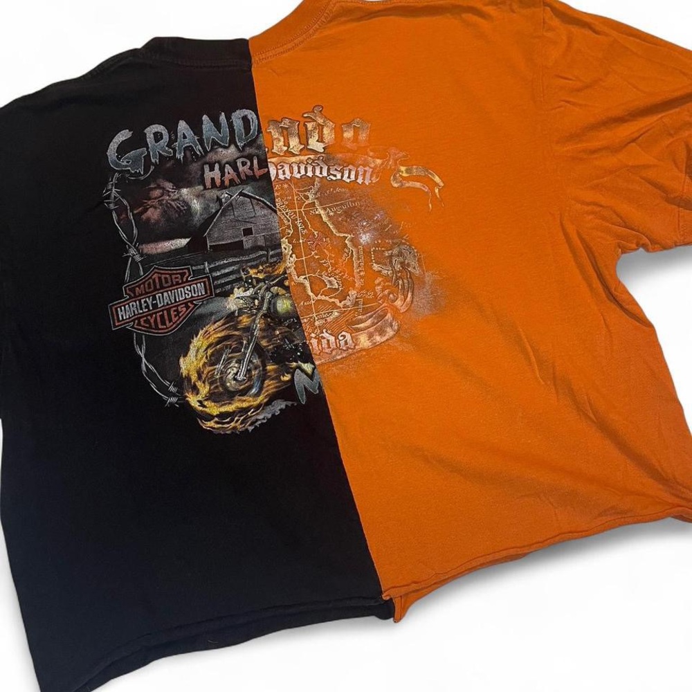 Harley-Davidson Reworked Slouchy Cropped Graphic Tee - Picture 6 of 8